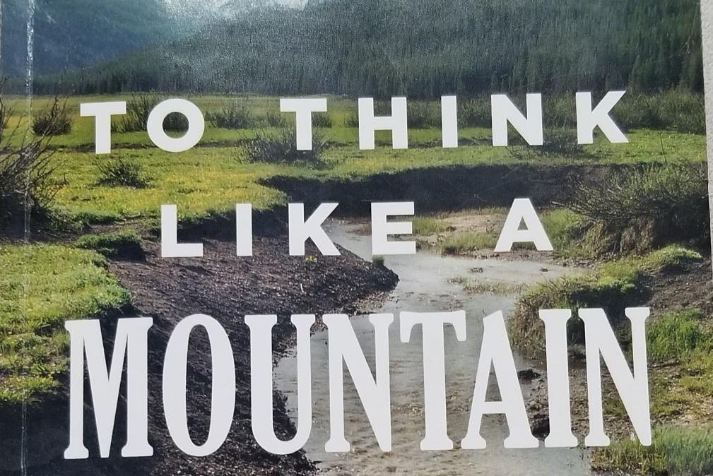 'To Think Like a Mountain': Book tackles controversial Idaho environmental issues